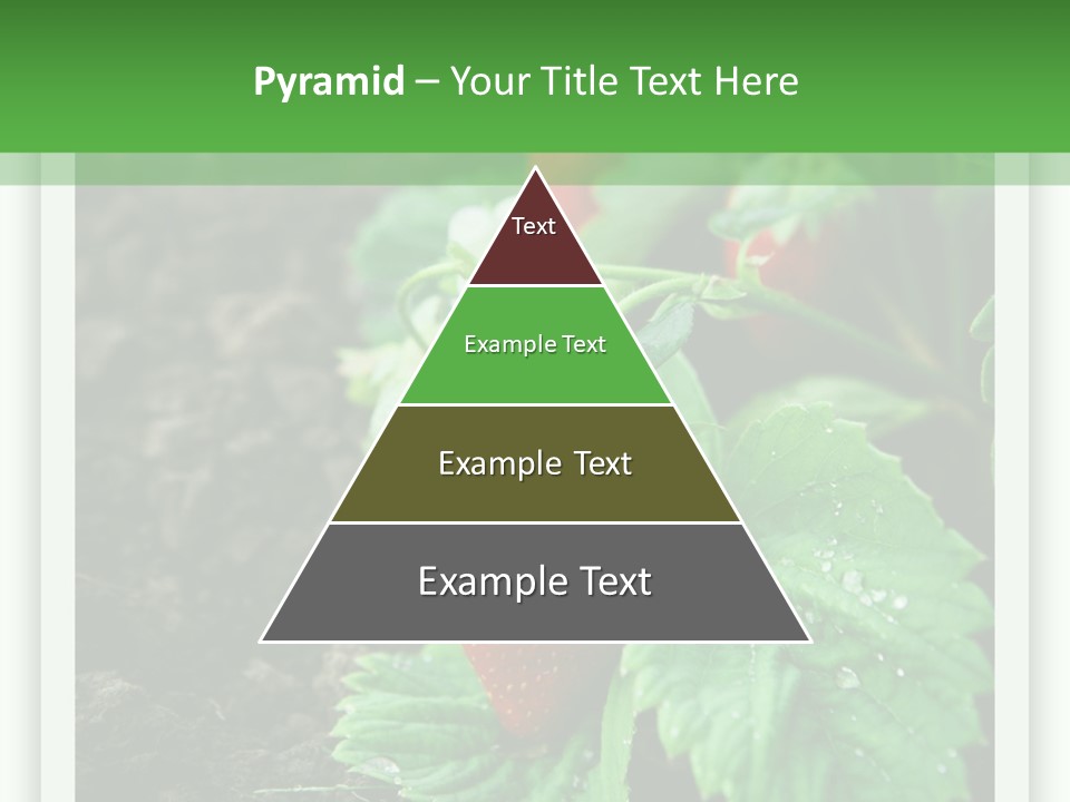 Family Sea Portrait PowerPoint Template