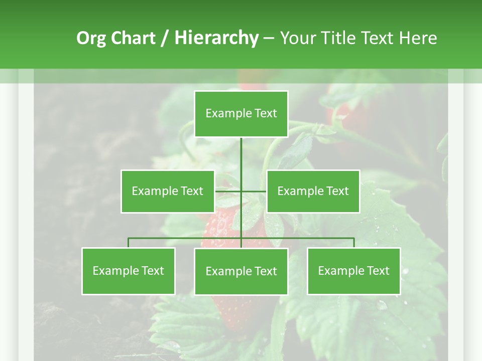 Family Sea Portrait PowerPoint Template