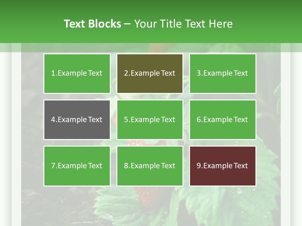 Family Sea Portrait PowerPoint Template