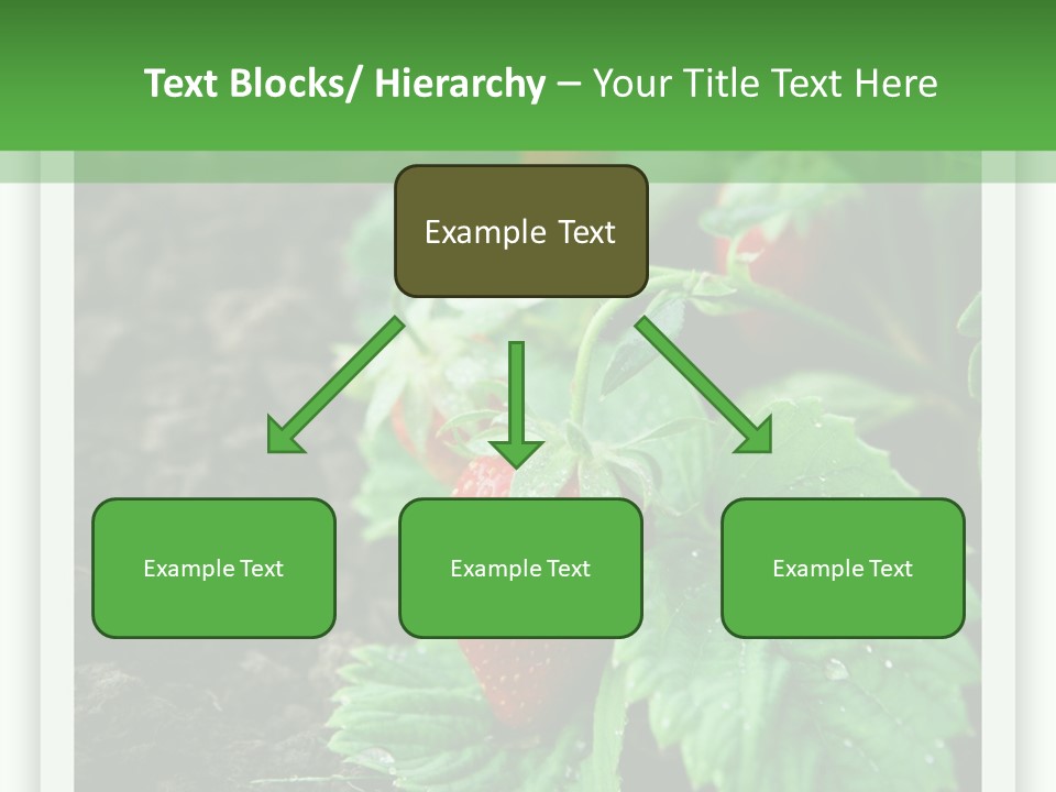 Family Sea Portrait PowerPoint Template