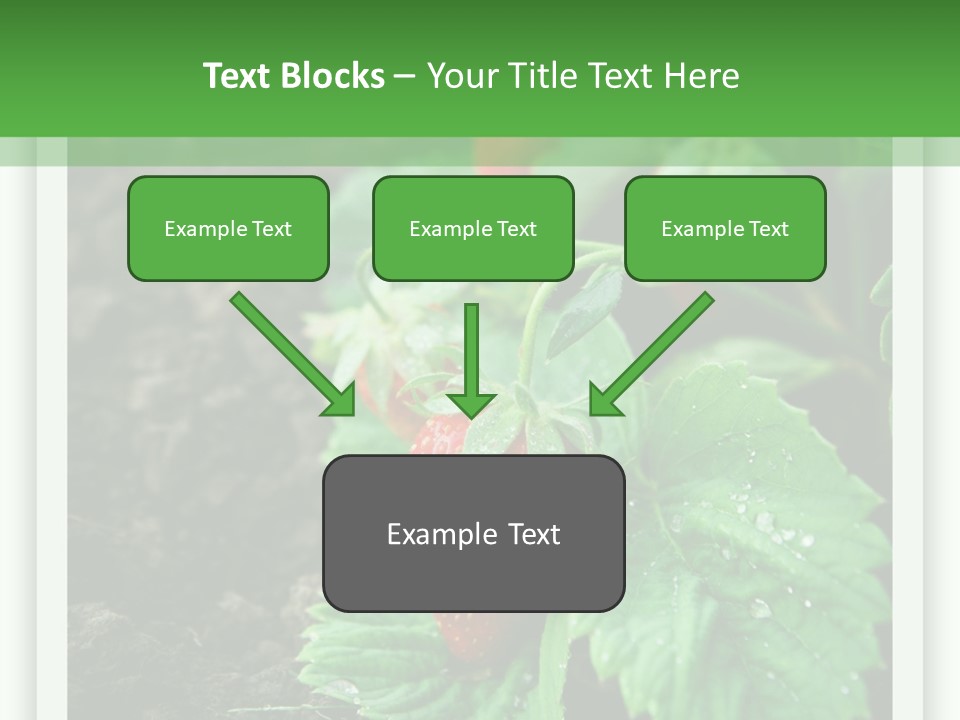 Family Sea Portrait PowerPoint Template