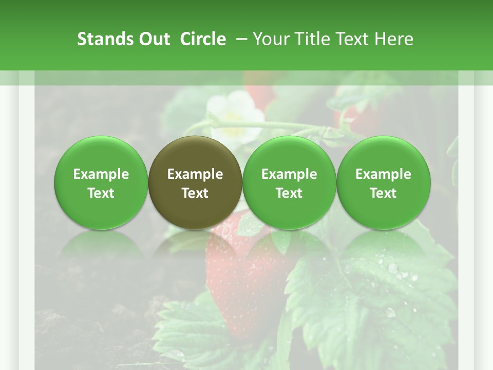 Family Sea Portrait PowerPoint Template