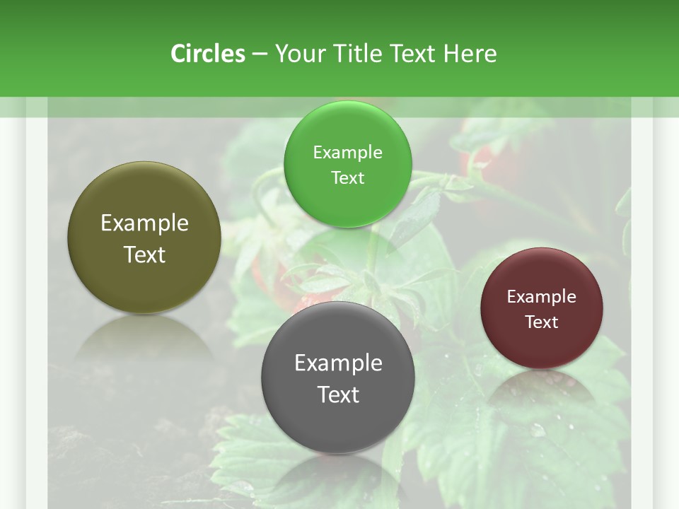 Family Sea Portrait PowerPoint Template