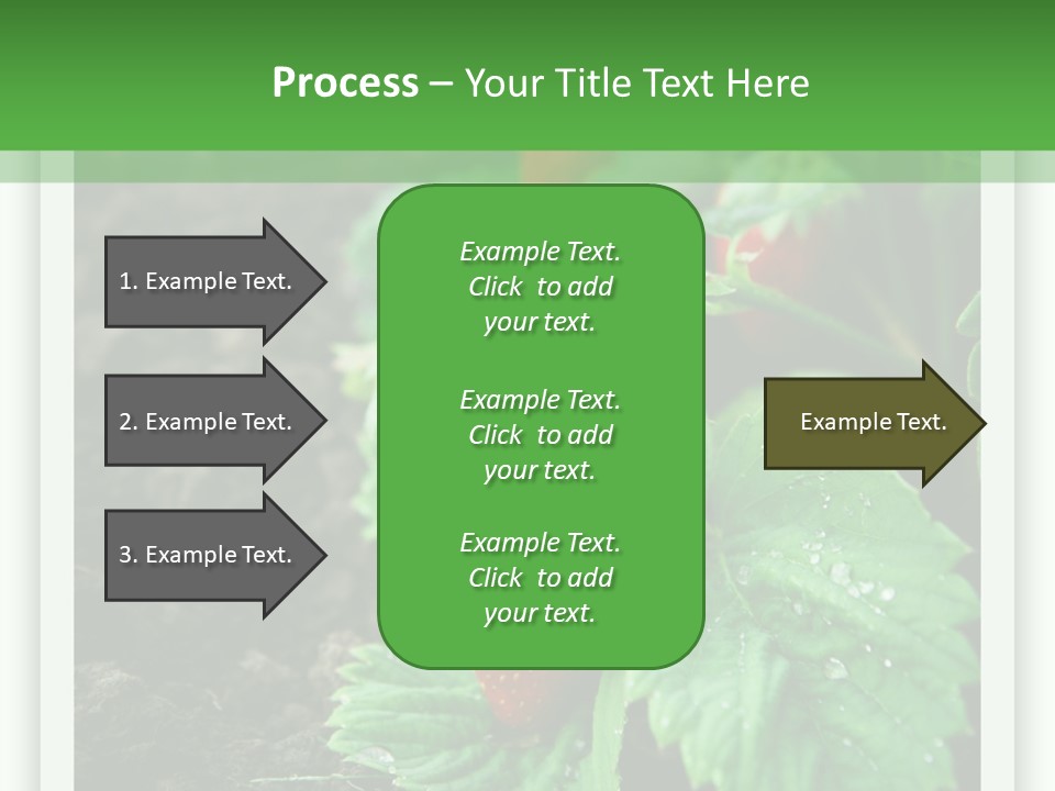 Family Sea Portrait PowerPoint Template