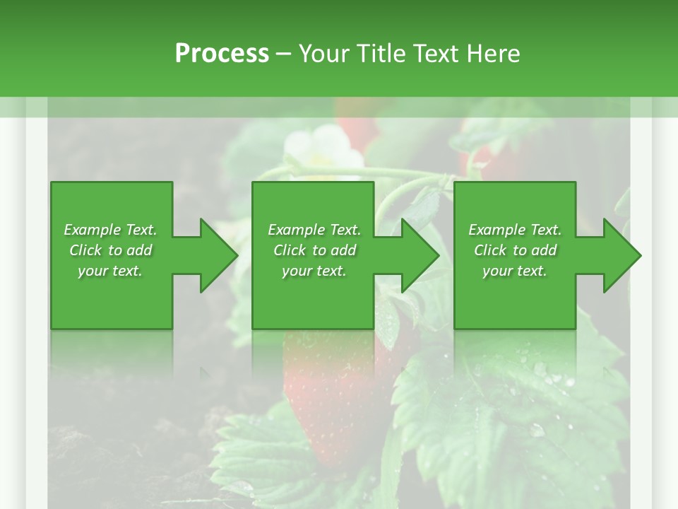 Family Sea Portrait PowerPoint Template