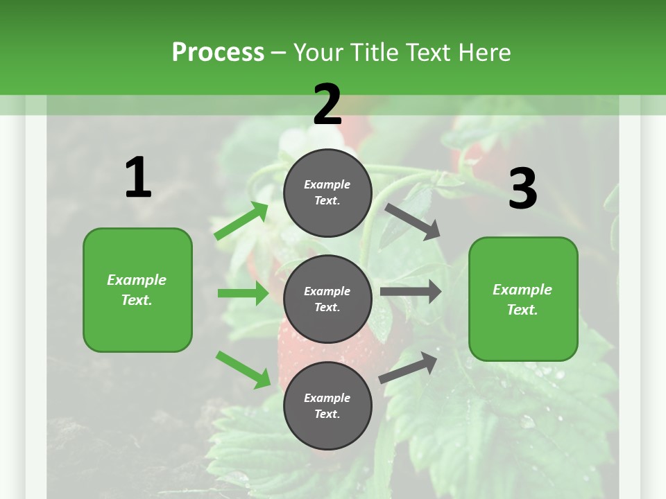 Family Sea Portrait PowerPoint Template