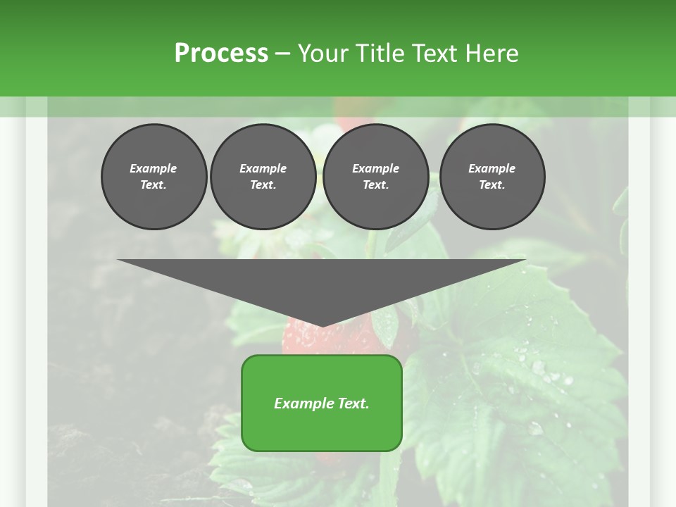 Family Sea Portrait PowerPoint Template