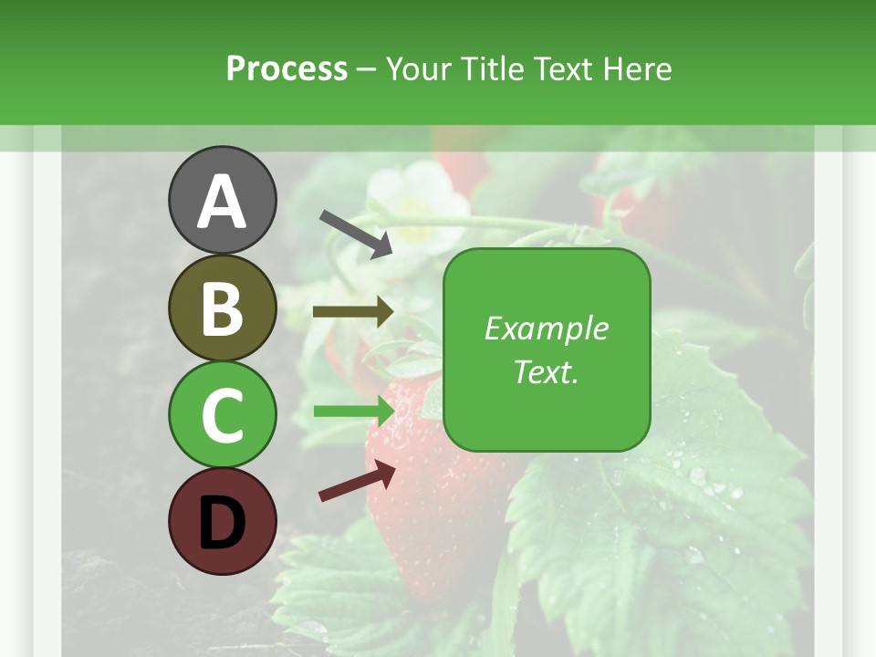 Family Sea Portrait PowerPoint Template