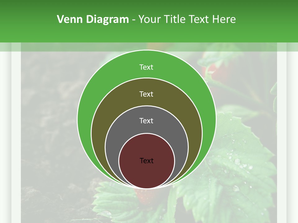 Family Sea Portrait PowerPoint Template