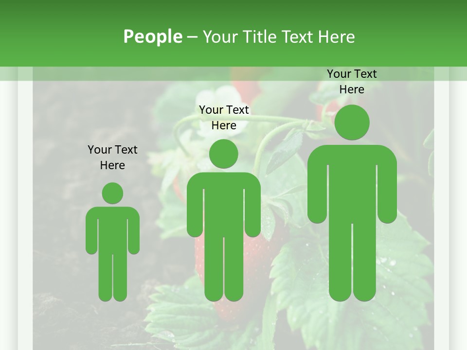 Family Sea Portrait PowerPoint Template