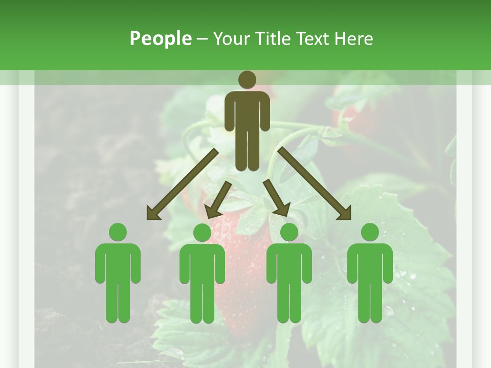 Family Sea Portrait PowerPoint Template