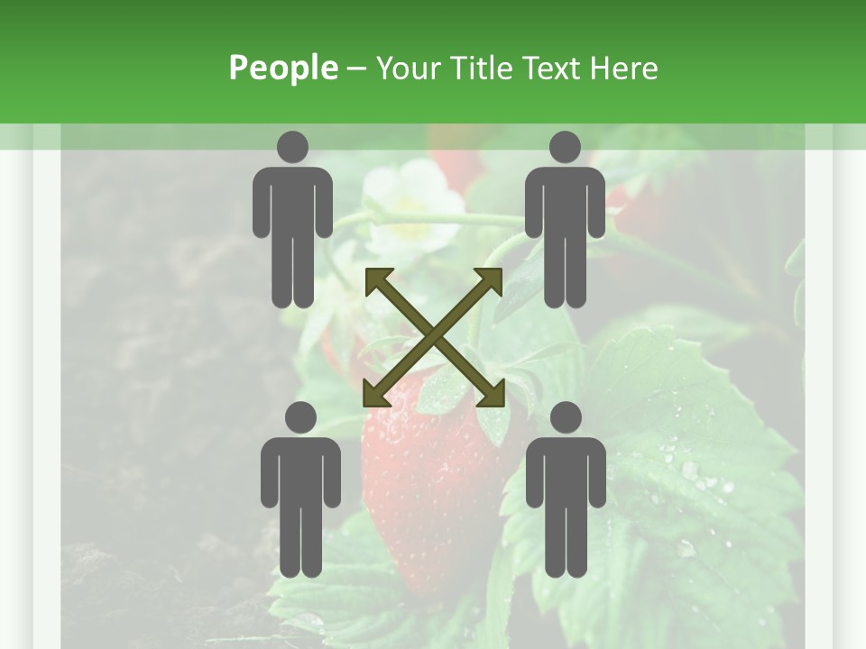 Family Sea Portrait PowerPoint Template