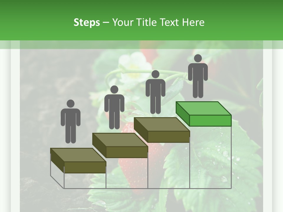 Family Sea Portrait PowerPoint Template