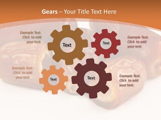 Peaceful Coast Water PowerPoint Template