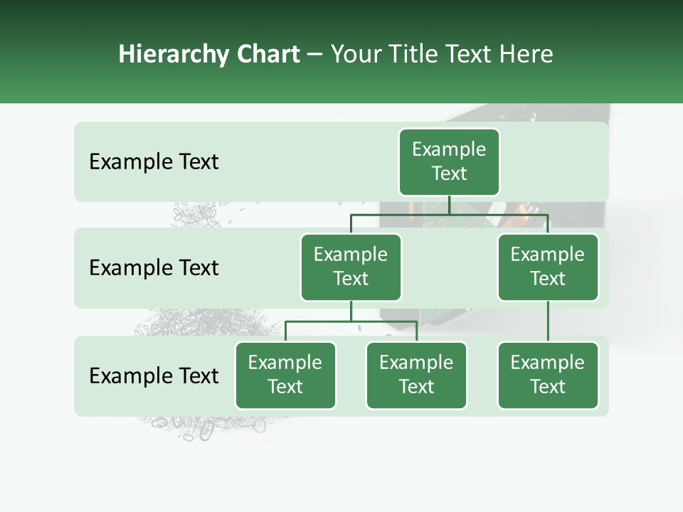 Sea Wellness Life PowerPoint Template