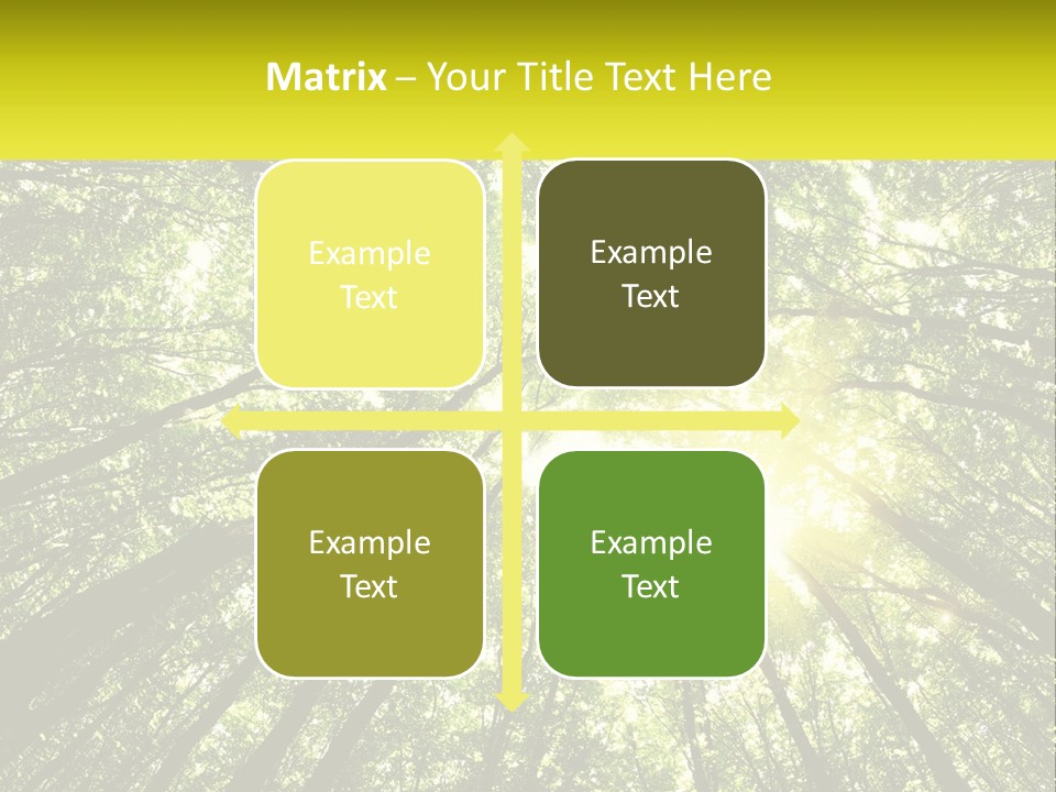 Water Standing Coast PowerPoint Template