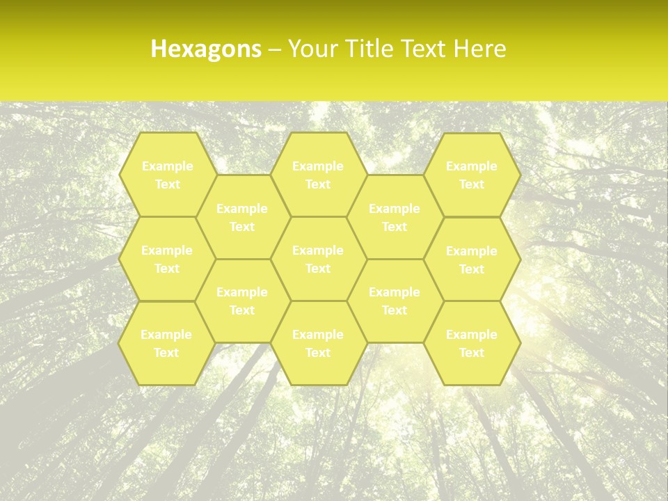 Water Standing Coast PowerPoint Template