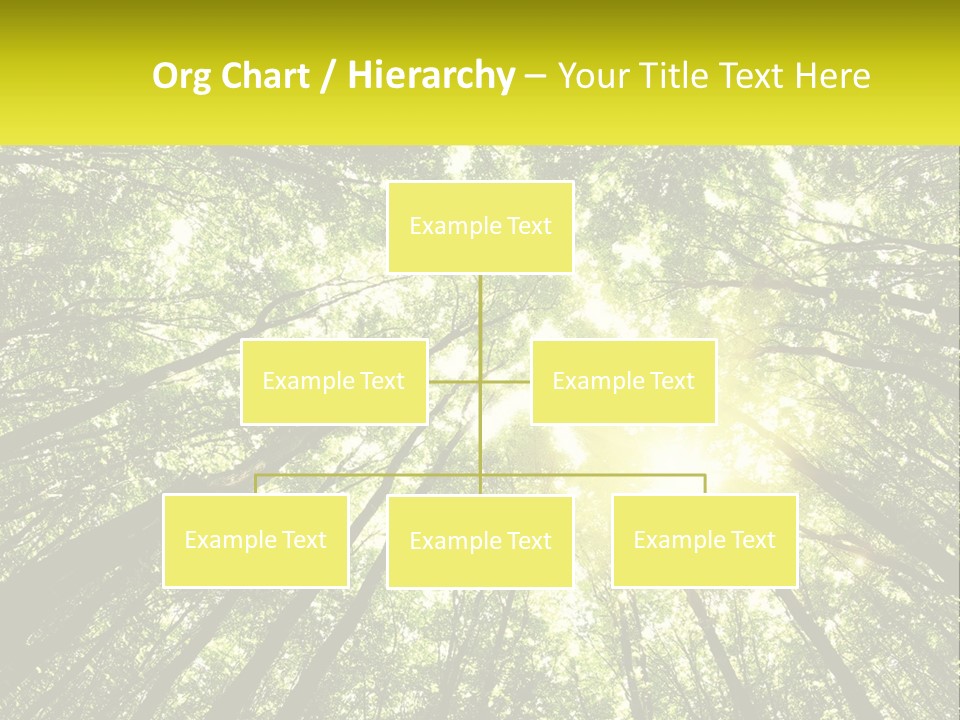 Water Standing Coast PowerPoint Template