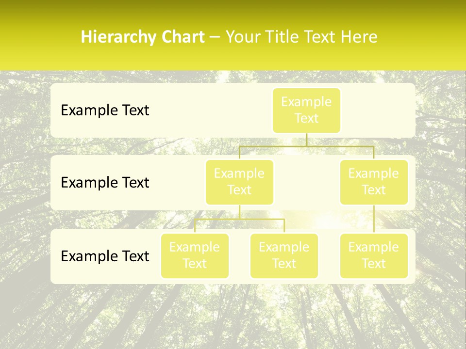 Water Standing Coast PowerPoint Template