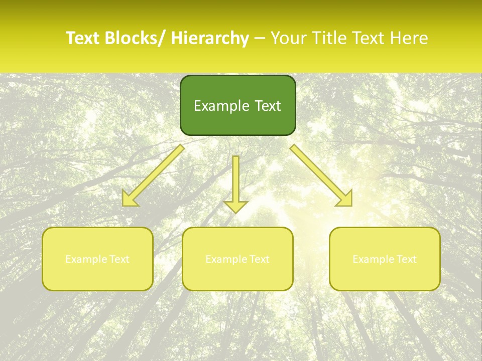 Water Standing Coast PowerPoint Template