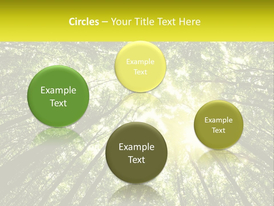 Water Standing Coast PowerPoint Template