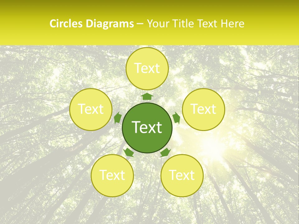 Water Standing Coast PowerPoint Template