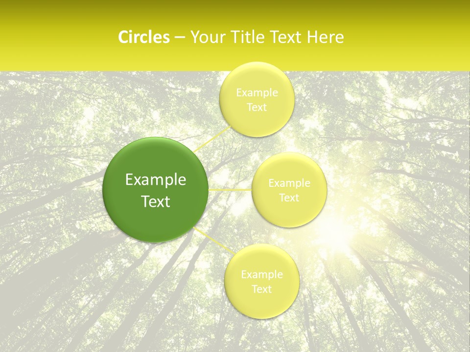 Water Standing Coast PowerPoint Template