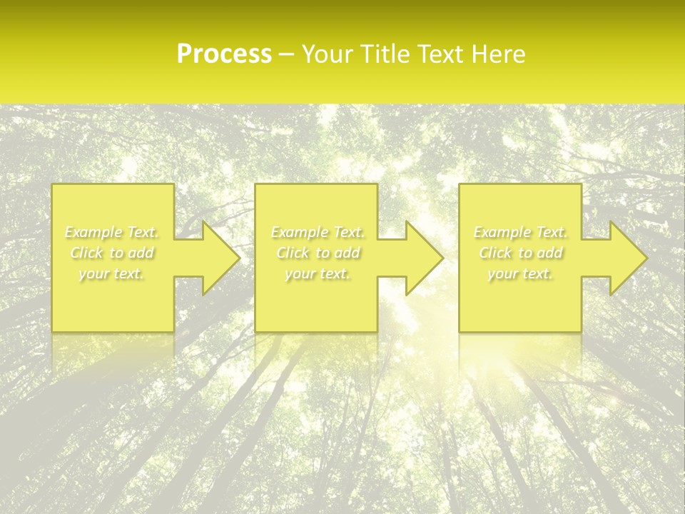 Water Standing Coast PowerPoint Template
