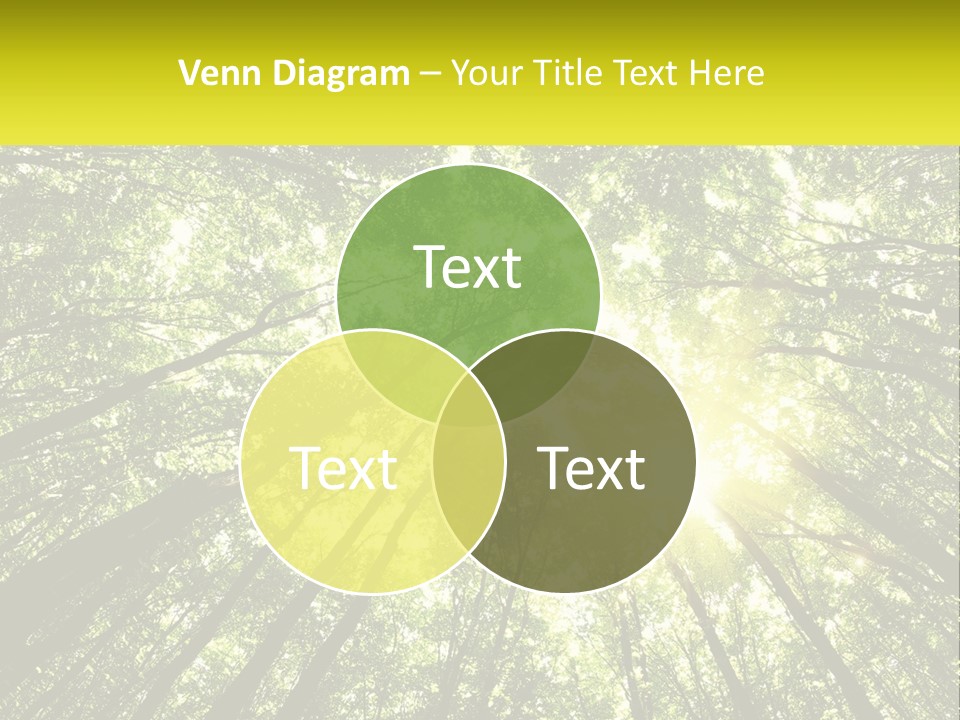 Water Standing Coast PowerPoint Template