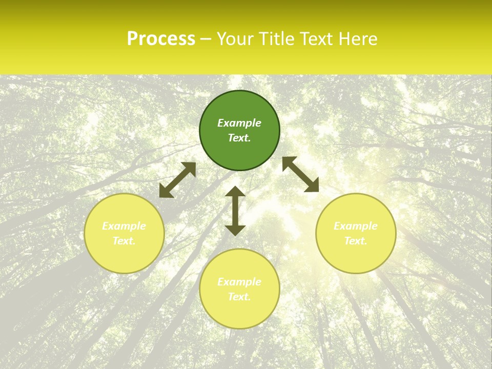 Water Standing Coast PowerPoint Template