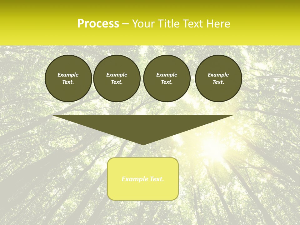 Water Standing Coast PowerPoint Template