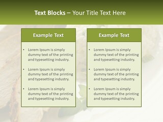 Daughter Portrait Family PowerPoint Template