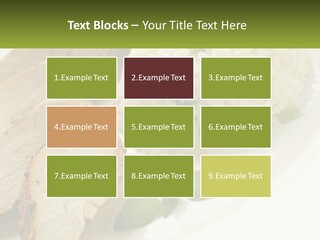 Daughter Portrait Family PowerPoint Template