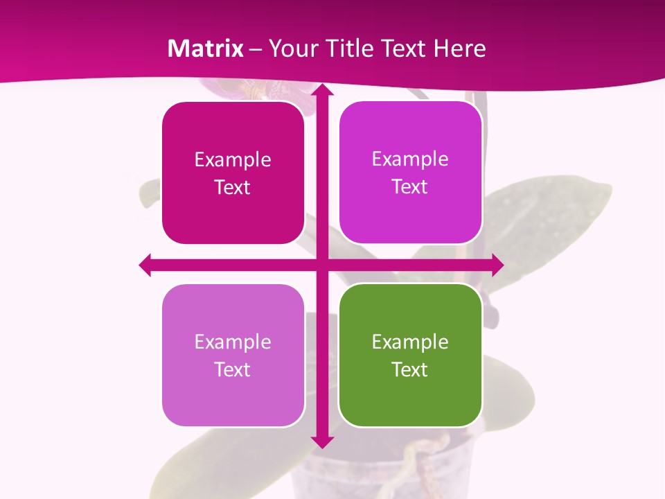 Parent Retirement Wellness PowerPoint Template