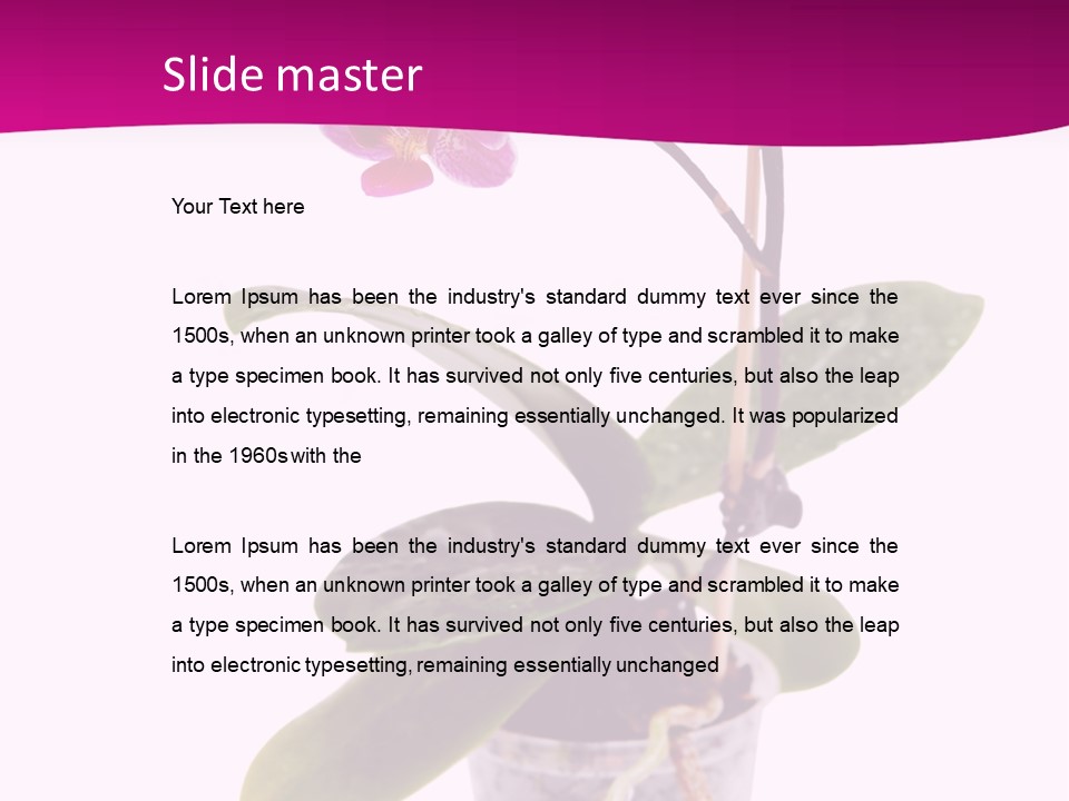 Parent Retirement Wellness PowerPoint Template