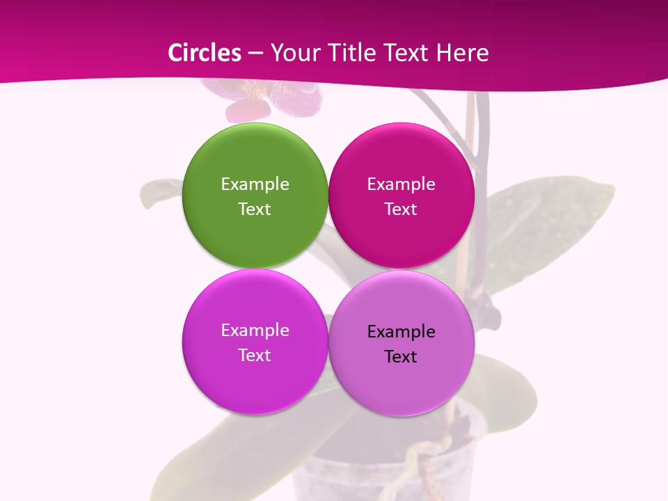 Parent Retirement Wellness PowerPoint Template