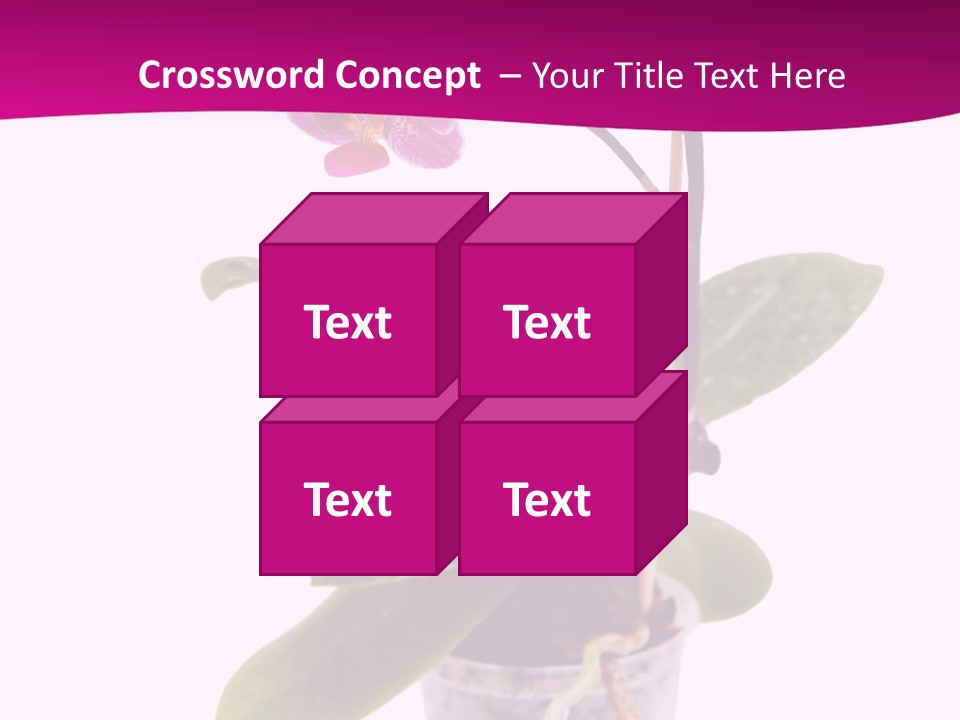 Parent Retirement Wellness PowerPoint Template