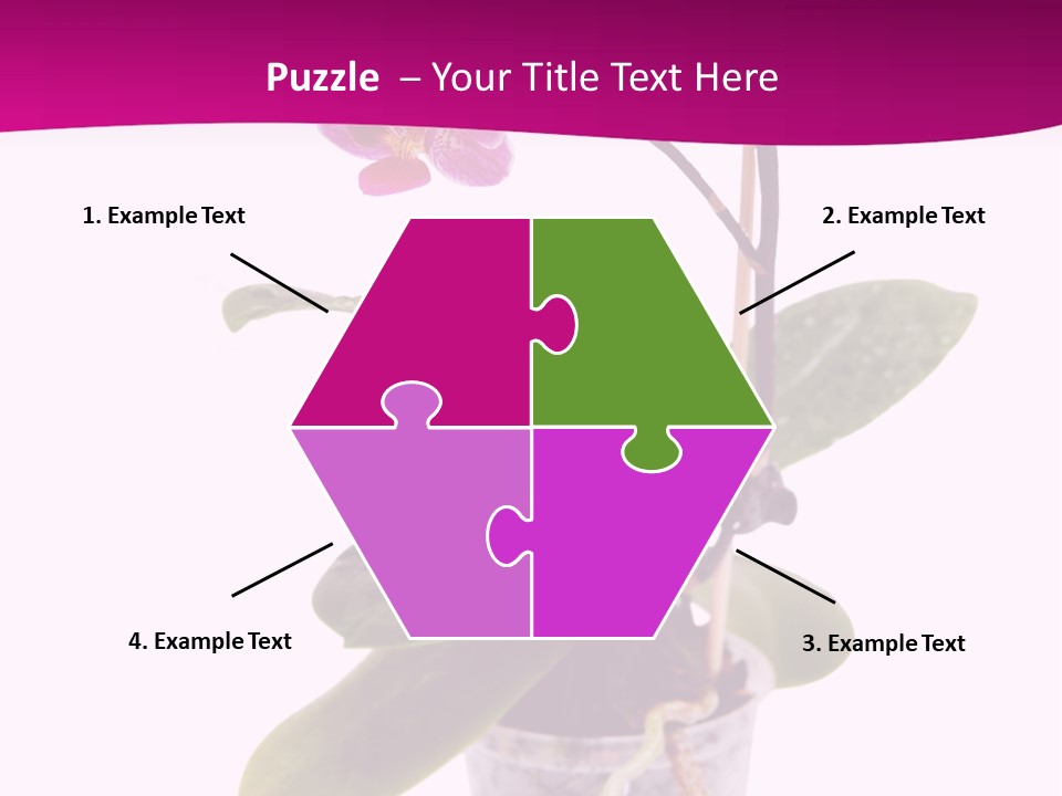 Parent Retirement Wellness PowerPoint Template