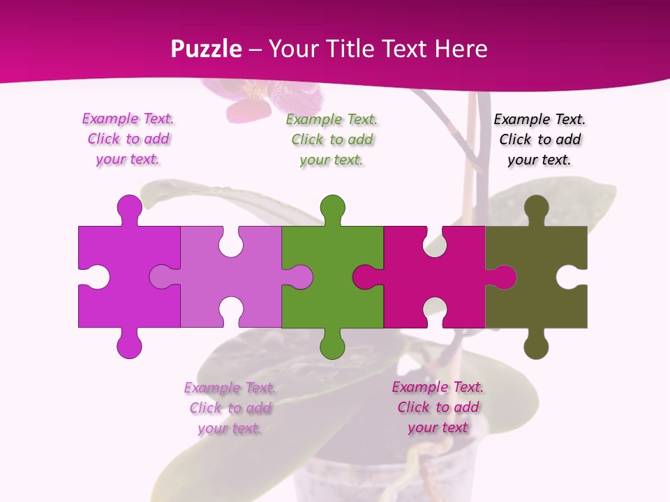 Parent Retirement Wellness PowerPoint Template