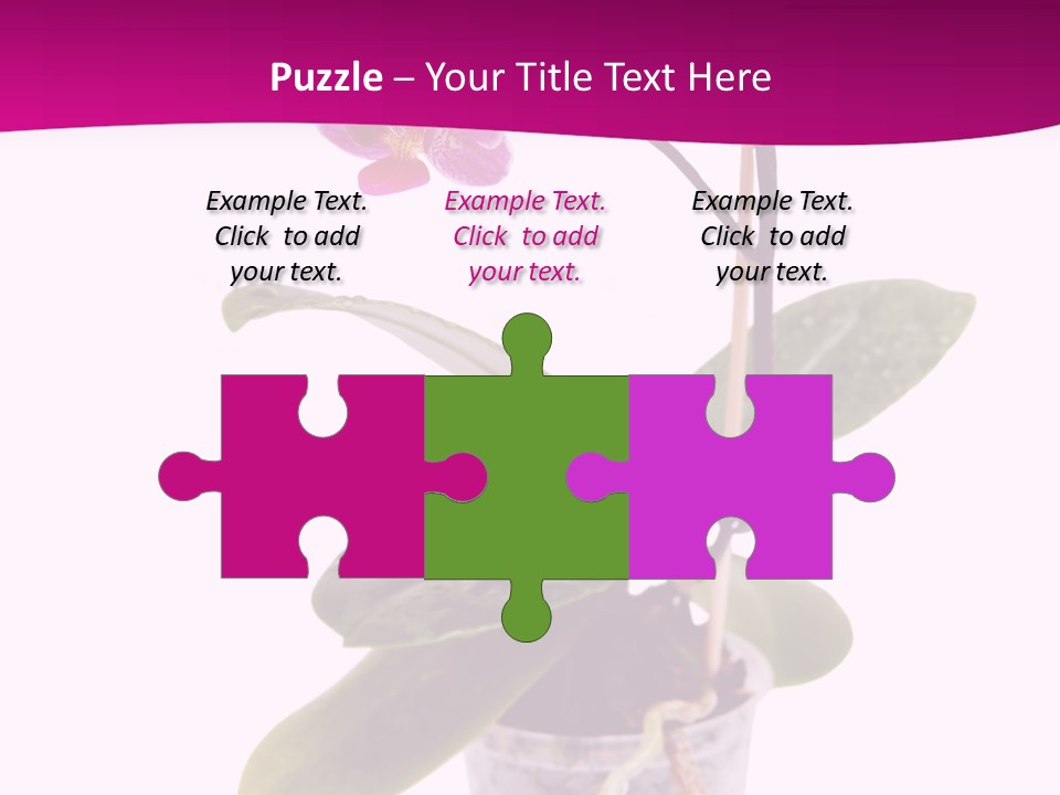 Parent Retirement Wellness PowerPoint Template