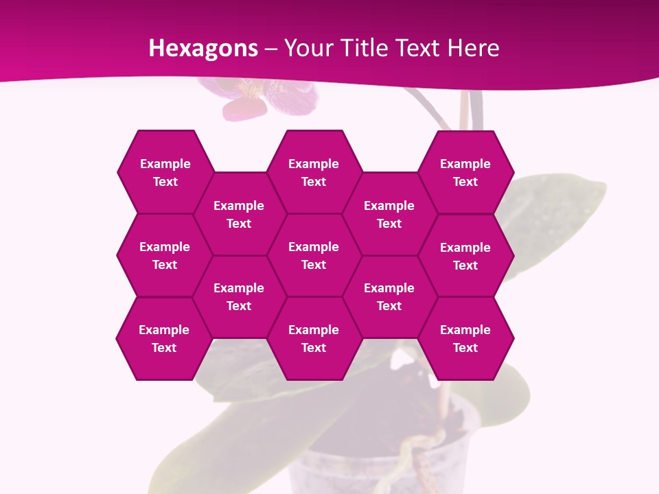 Parent Retirement Wellness PowerPoint Template