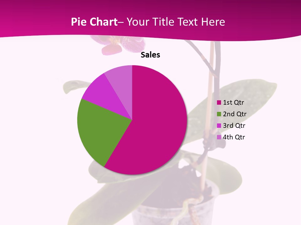 Parent Retirement Wellness PowerPoint Template