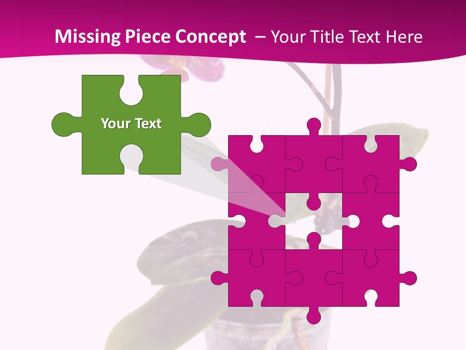 Parent Retirement Wellness PowerPoint Template