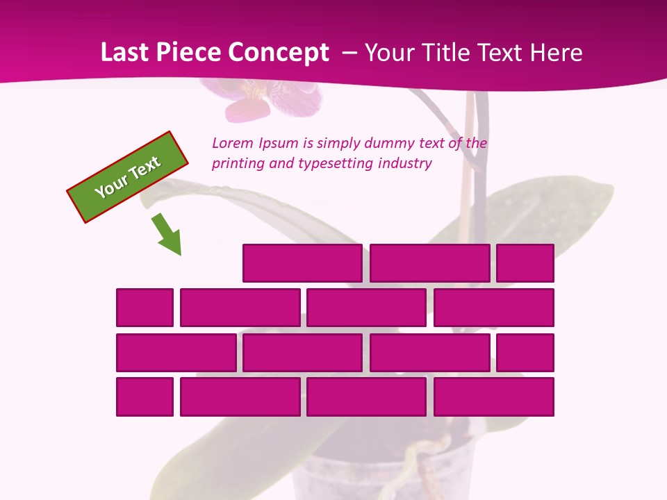 Parent Retirement Wellness PowerPoint Template