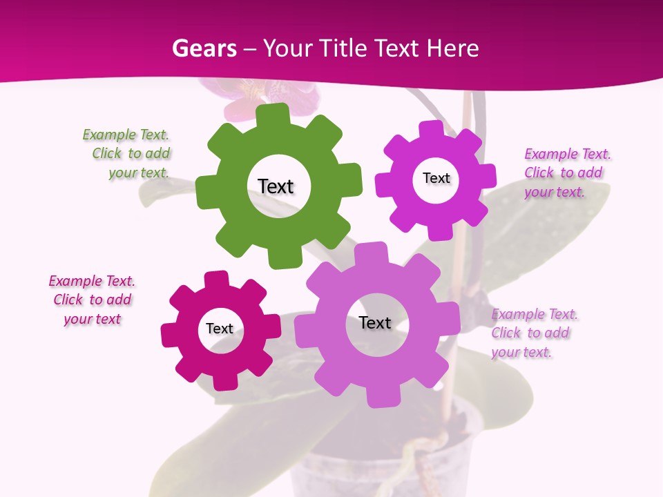 Parent Retirement Wellness PowerPoint Template