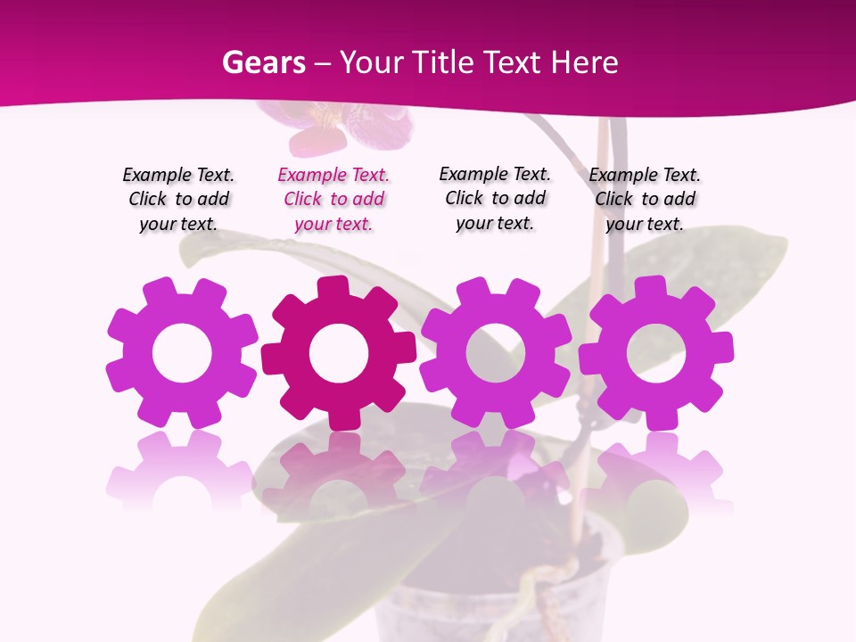 Parent Retirement Wellness PowerPoint Template