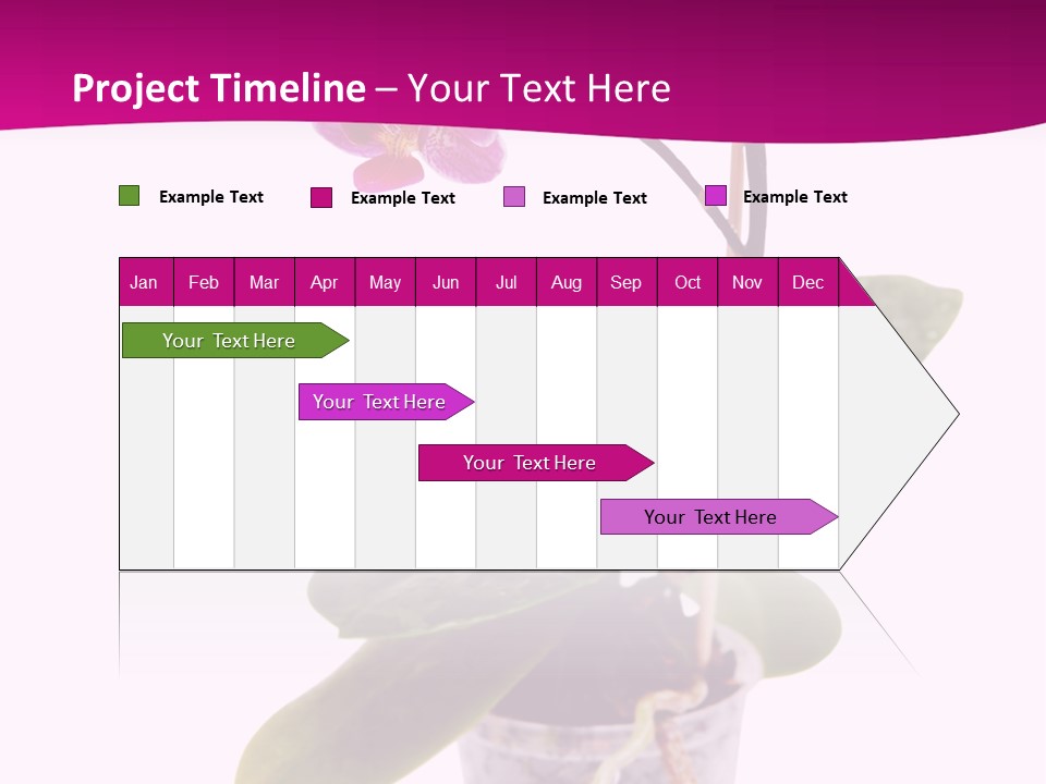 Parent Retirement Wellness PowerPoint Template