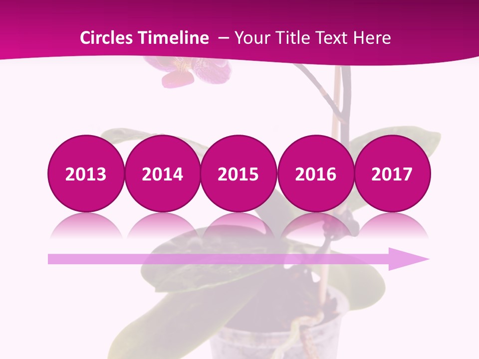 Parent Retirement Wellness PowerPoint Template