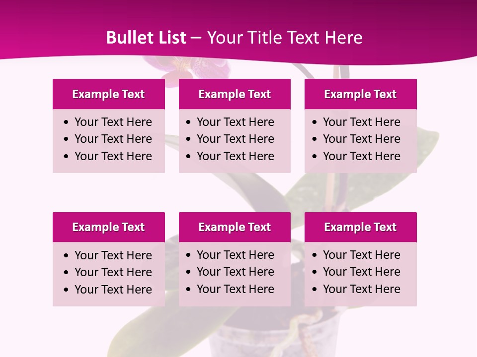 Parent Retirement Wellness PowerPoint Template