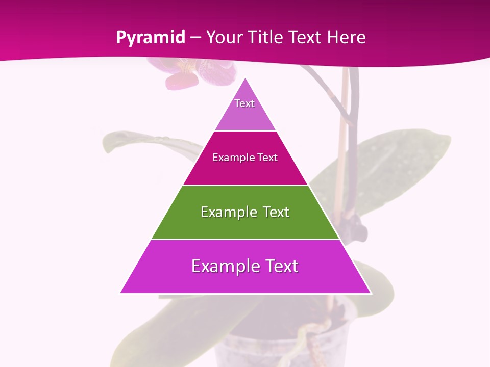 Parent Retirement Wellness PowerPoint Template